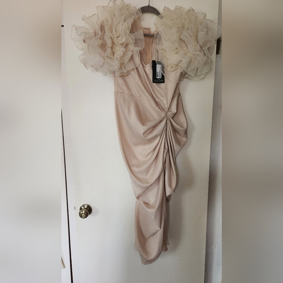 Satin Champagne Dress NWT - Picture 5 of 6